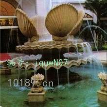 ֪ʶ