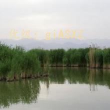 ũҵ